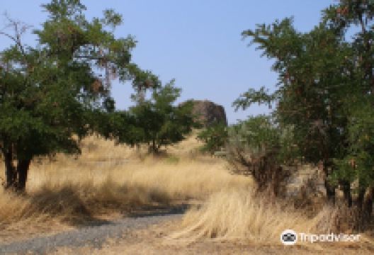 Hat Rock State Park景点图片