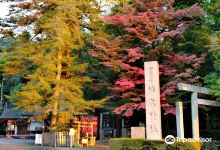 椿大神社景点图片