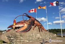 Shediac Home of the World's Largest Lobster景点图片