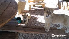 Predator World-Bojanala