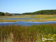 Wellfleet Bay Wildlife Sanctuary-韦尔弗利特