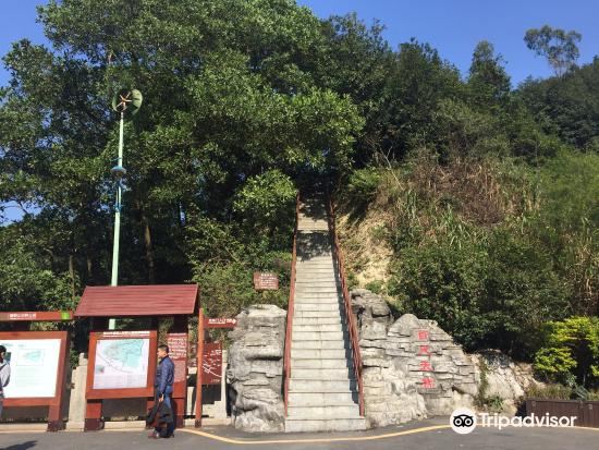 塘朗山郊野公园