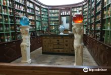 Musée Départemental Albert et Félicie Demard景点图片
