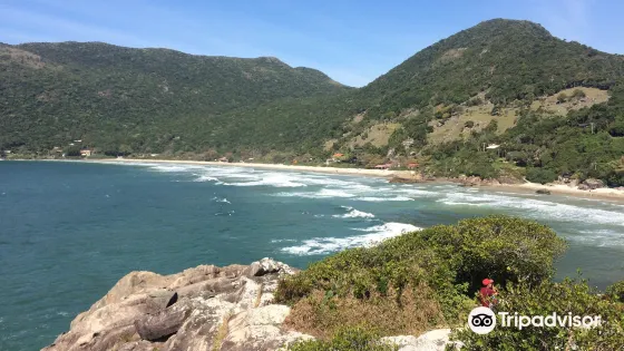 Pantano do Sul Beach