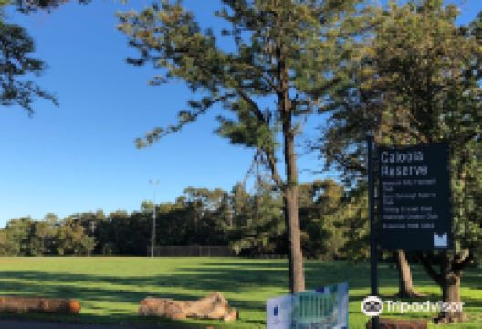 Caloola Reserve景点图片