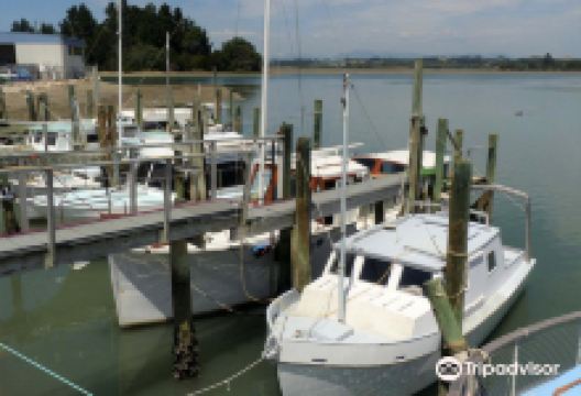 Motueka Quay景点图片