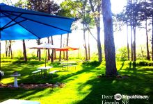 Deer Springs Winery景点图片