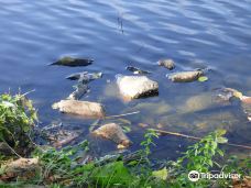 Lac de Creutzwald-柯哲斯瓦尔德拉克鲁瓦