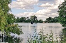 South Norwood Lake and Grounds-克罗伊登