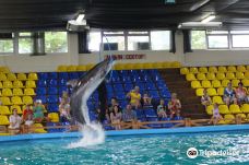 Dolphinarium Kolizey-拉扎列夫斯科耶