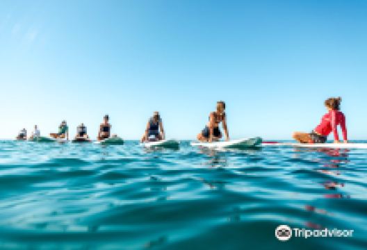 Windsurf La Herradura购物图片