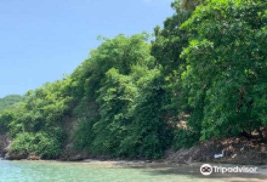 Fort Bay景点图片