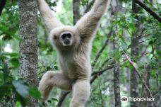Monkeyland Primate Sanctuary-Greater Plettenberg Bay