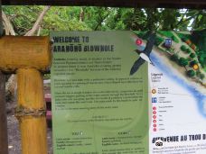 阿拉吼吼喷泉口-Tiarei