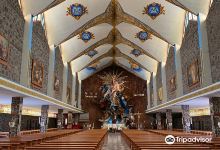 Basilica of the Immaculate Conception景点图片