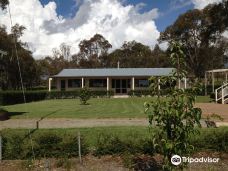 Mortimers Wines-奥兰治