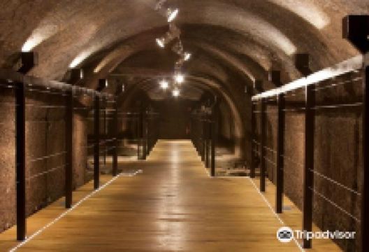 Museo Civico ed Enogastronomico景点图片