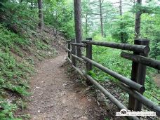Jungmisan Mountain Recreational Forest-杨平郡