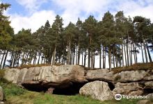 St Cuthbert's Cave景点图片