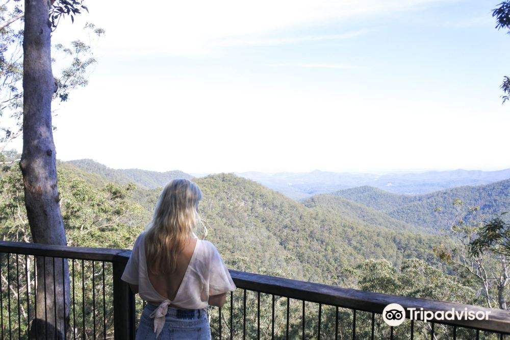 Maiala Teahouse - Mt Glorious餐厅图片