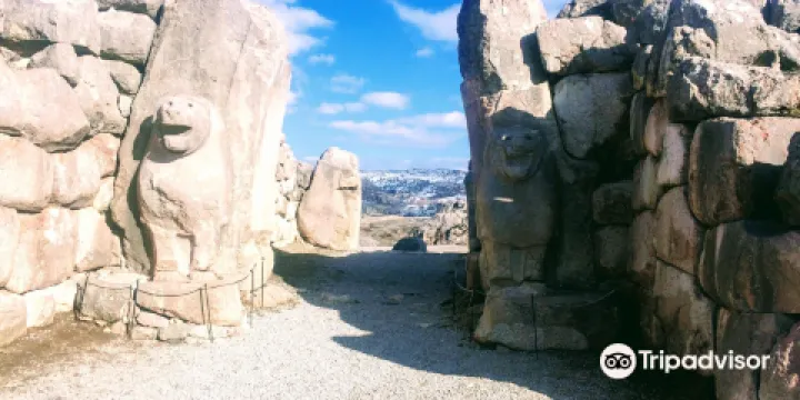 Bogazkoy - Alacahoyuk Milli Parki