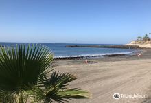 Playa del Duque景点图片