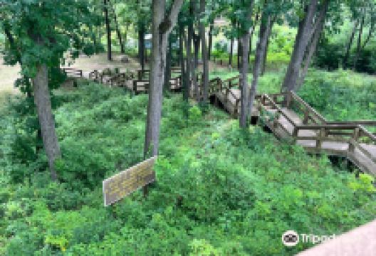 Hutterite King Colony Ranch景点图片