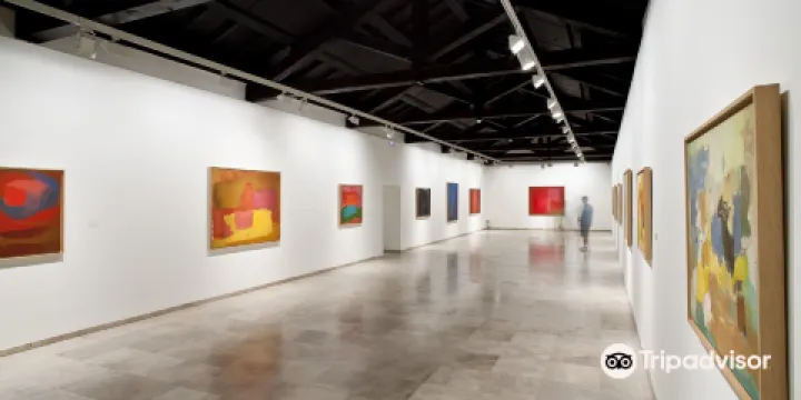 埃斯特萬·比森特當代藝術博物館