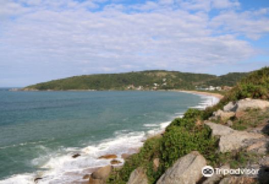 Praia de Taquaras景点图片