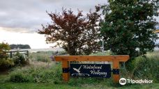 Parksville Community Park-帕克斯维尔