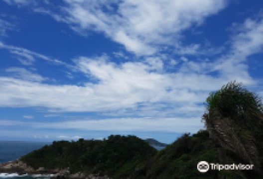 Ponta do Estaleiro景点图片