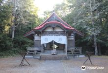 Tokachi Shrine景点图片