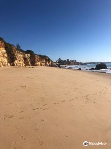 Praia do Alemao-波尔蒂芒
