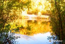 Lac des Mées Lac des Mees景点图片