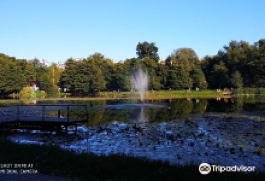Tortilin Pond景点图片