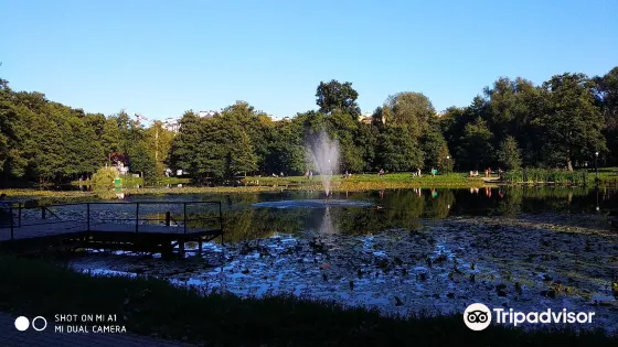Tortilin Pond