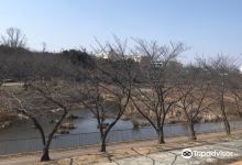 细口池公园景点图片