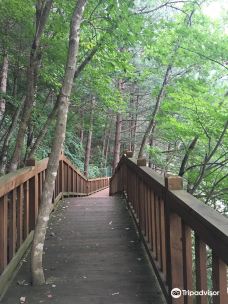 Kalbongsan Recreational Forest-加平郡