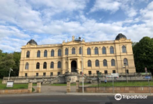 Lindenau Museum景点图片
