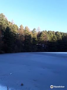 Millbuies Trout Fishery, Moray Fly Fishers-埃尔金