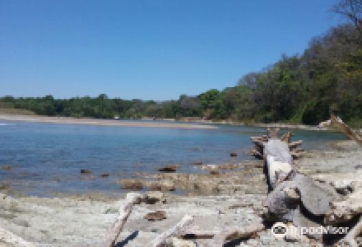 Playa Buena Vista景点图片