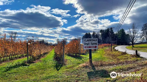 Clarkdale Fruit Farms