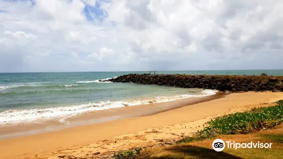 Turtle Cove Park