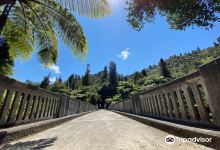 Whanganui National Park景点图片