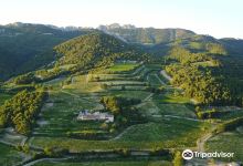 Castell de Mediona景点图片