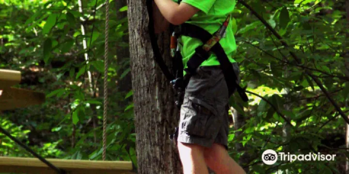 Treetop Quest Gwinnett