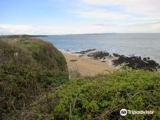Baginbun Beach-韦斯福德
