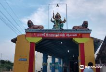 Kodi Amman Temple景点图片