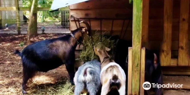 Tree Hill Nature Center