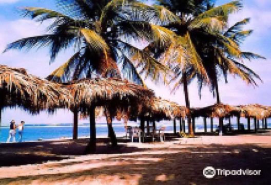 Playa Los Gringos景点图片